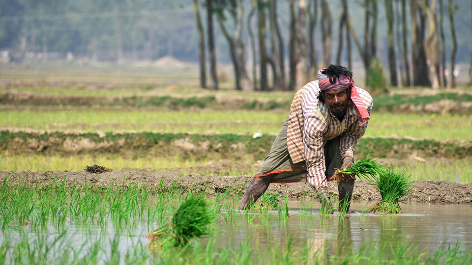 AI-Driven Agriculture: A New Frontier for Indian Farmers