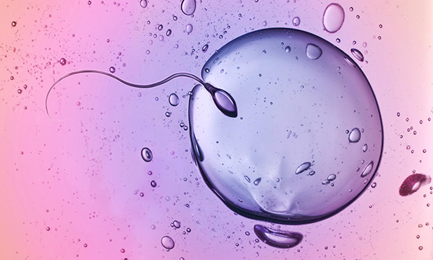 Unlocking the Mysteries of Fertilization